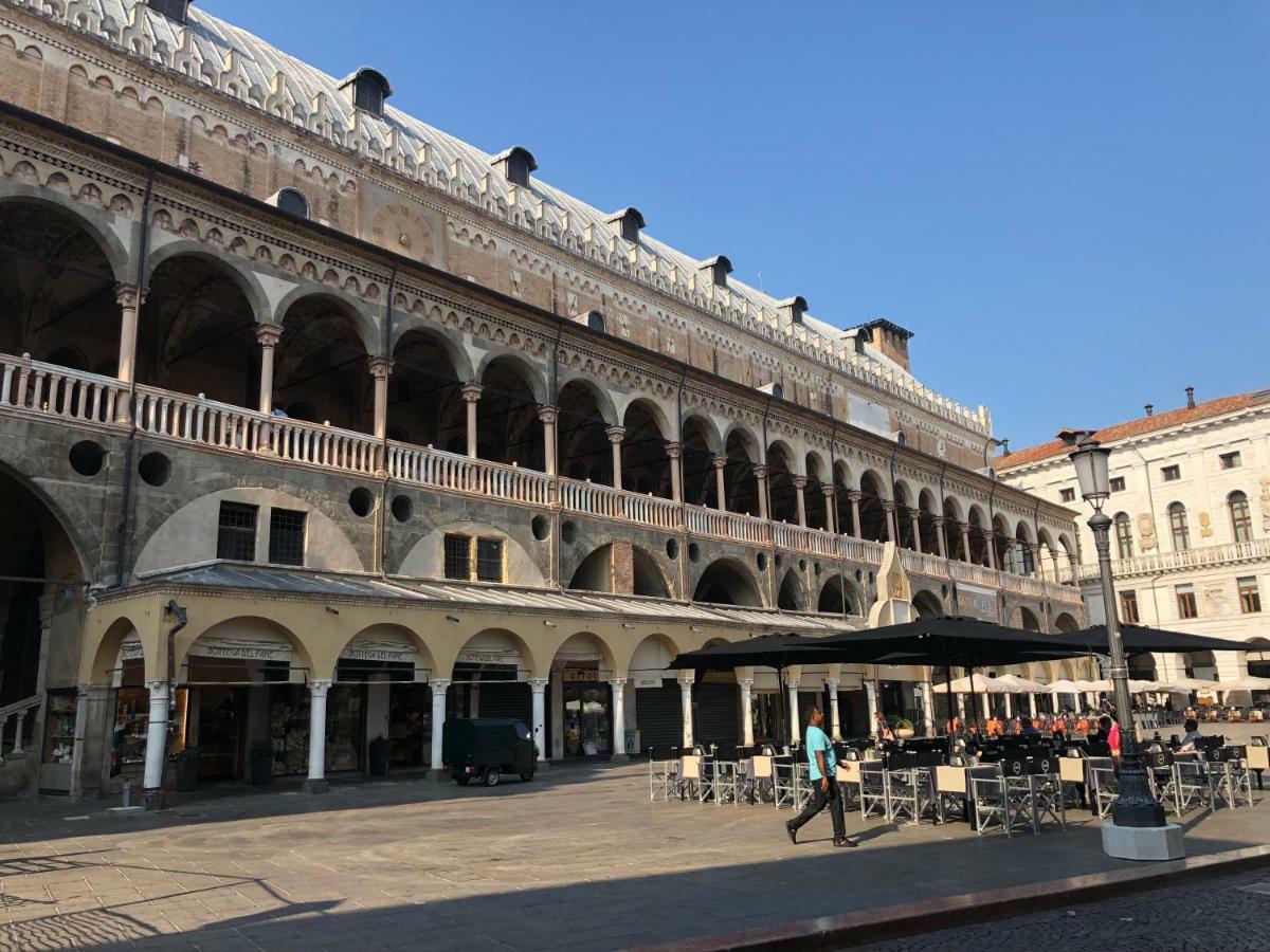 M14 Duomo Apartments Padova Eksteriør bilde